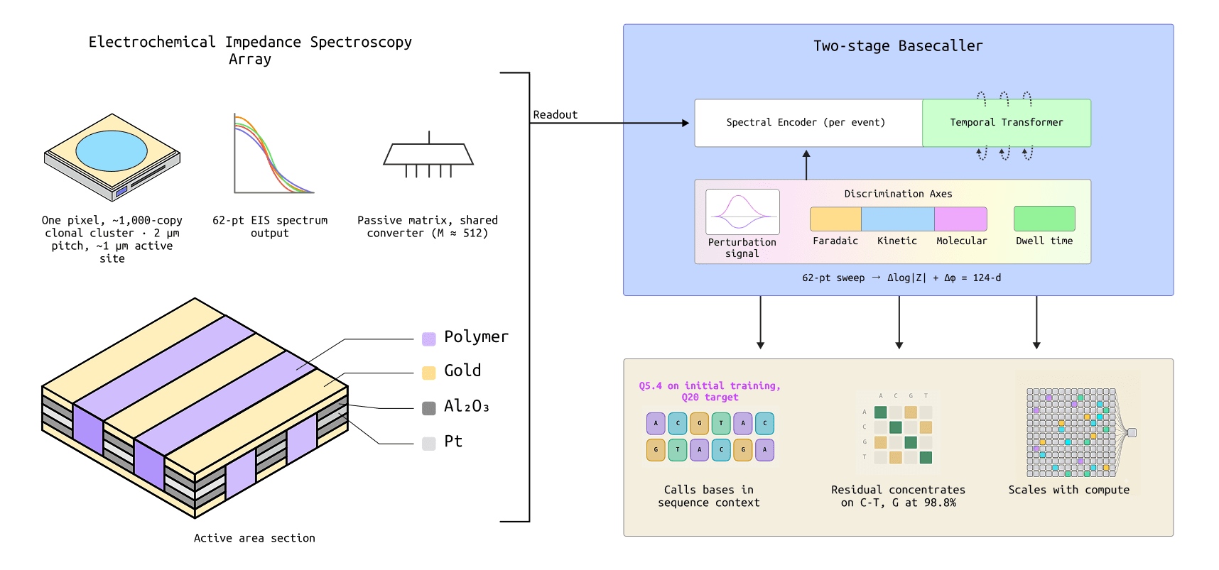 ECSEQ-0 end to end. A passive electrode array produces a 62-point frequency sweep via localized impedance spectroscopy at each pixel and passes this signal to a downstream base-calling model, with the discrimination carried by three frequency-distinct axes rather than by a label.